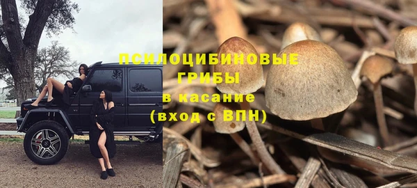 гашиш Вяземский