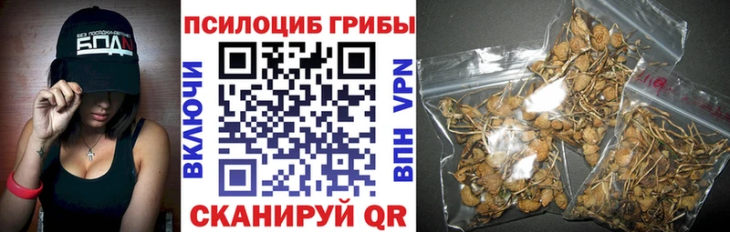 Купить где  Кизляр  Псилоцибиновые грибы Psilocybine cubensis 